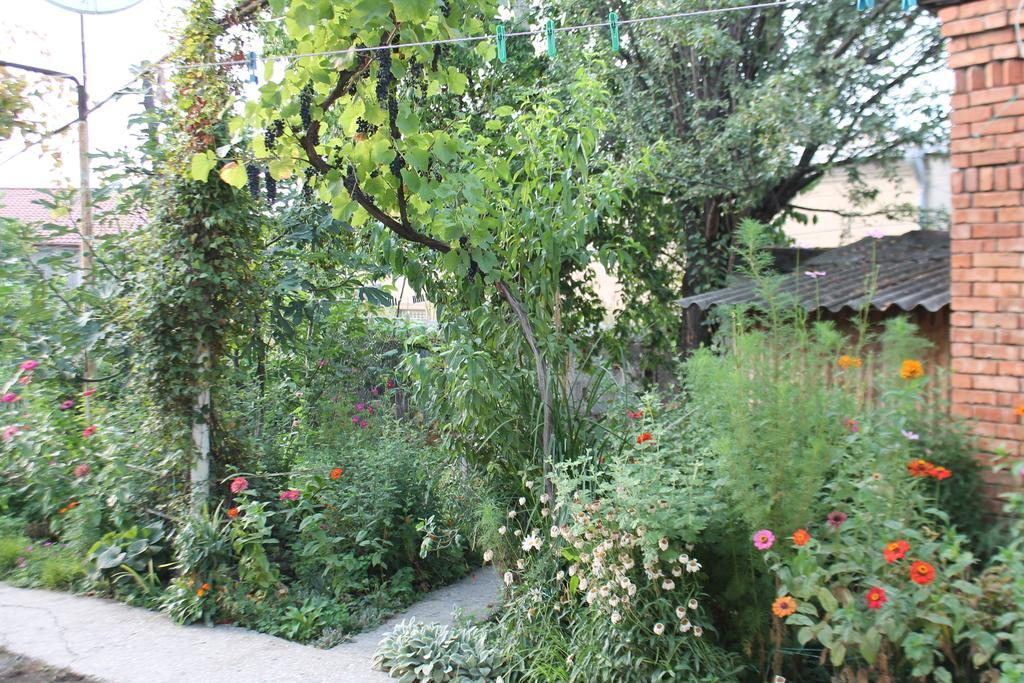 Tlt Guest House Телави Екстериор снимка